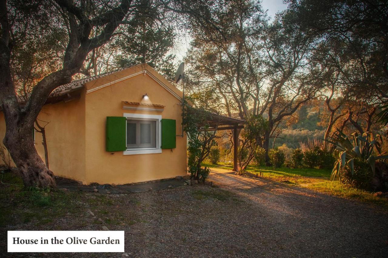 Апартаменты House In The Olive Garden Agios Ioannis  Экстерьер фото