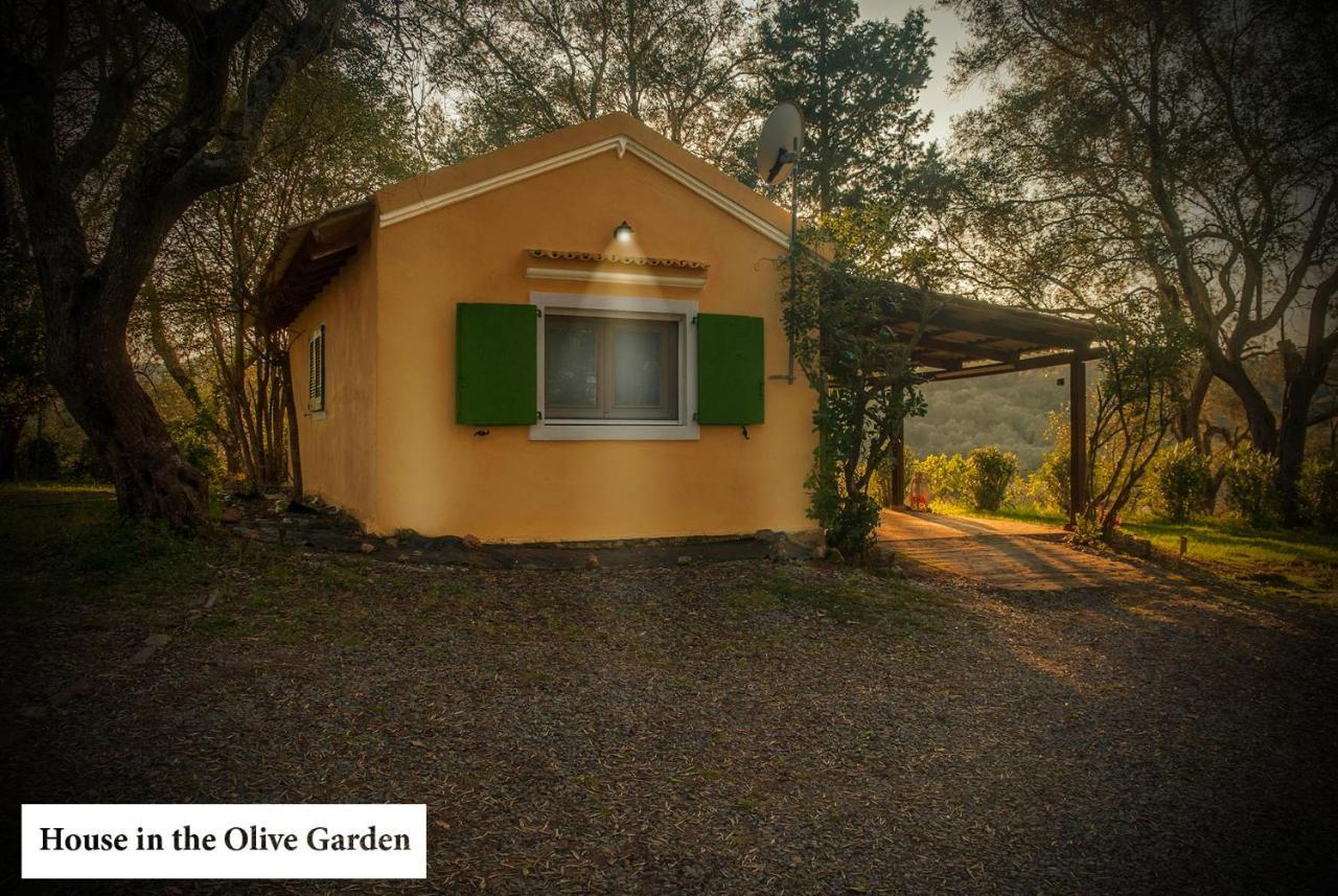 Апартаменты House In The Olive Garden Agios Ioannis  Экстерьер фото
