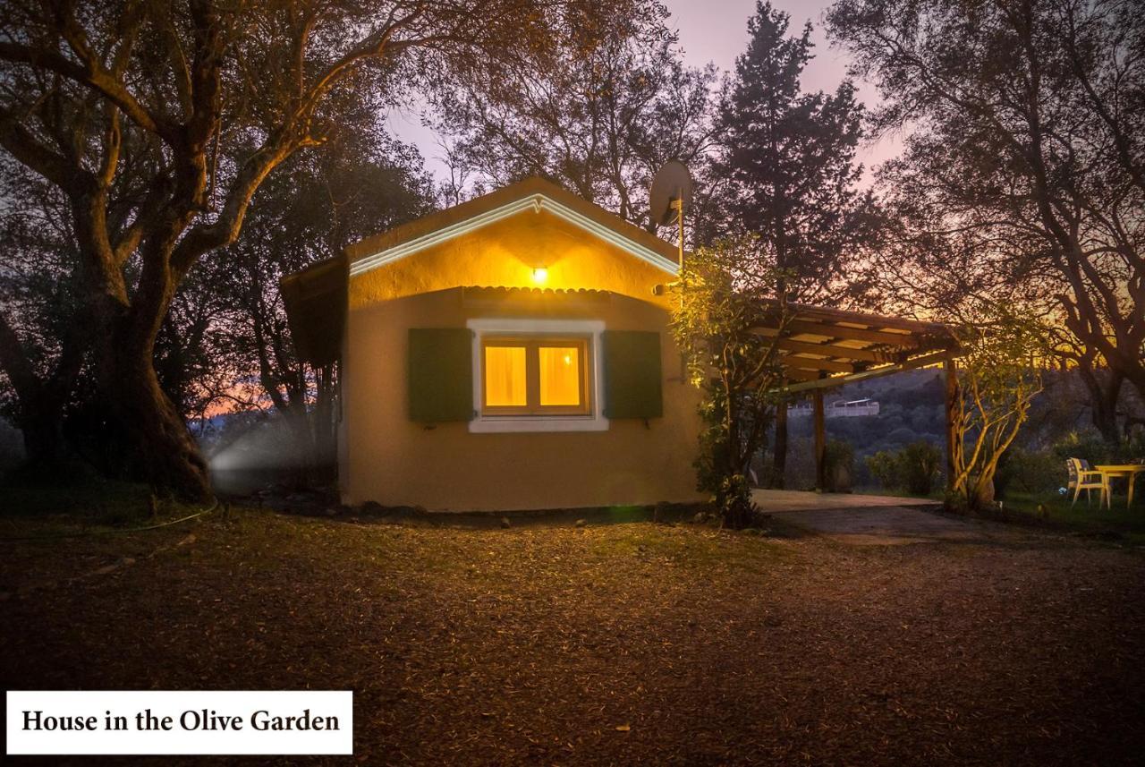 Апартаменты House In The Olive Garden Agios Ioannis  Экстерьер фото