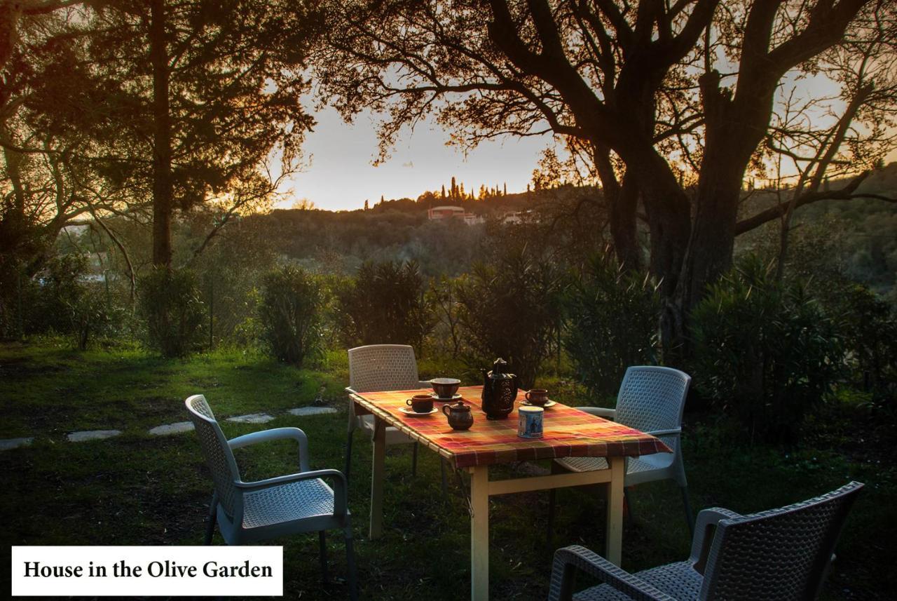 Апартаменты House In The Olive Garden Agios Ioannis  Экстерьер фото