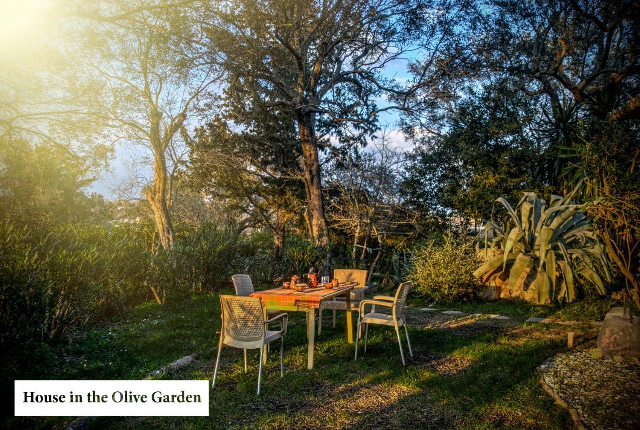 Апартаменты House In The Olive Garden Agios Ioannis  Экстерьер фото
